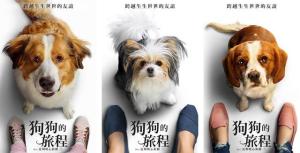 十部適合親子共賞的優質電影推薦_狗狗的旅程